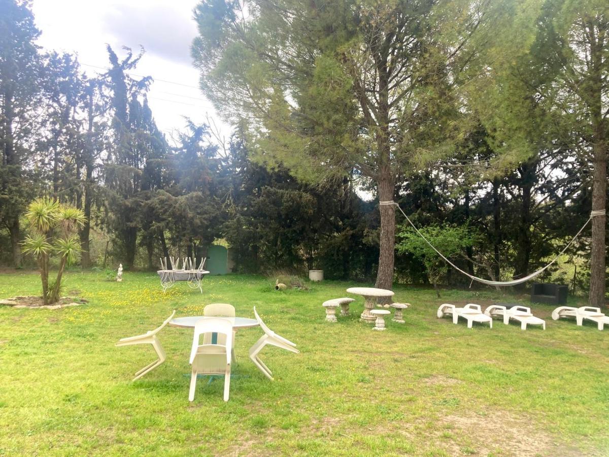 Villa 110M2, 7 Pers, Jacuzzi , 3 Chambres, Terrain Clos Et Arbore 2500M2 Trèbes Dış mekan fotoğraf